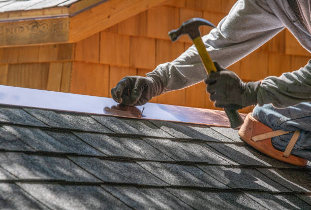 Best Roof Insulation Installation  in Varnville, SC
