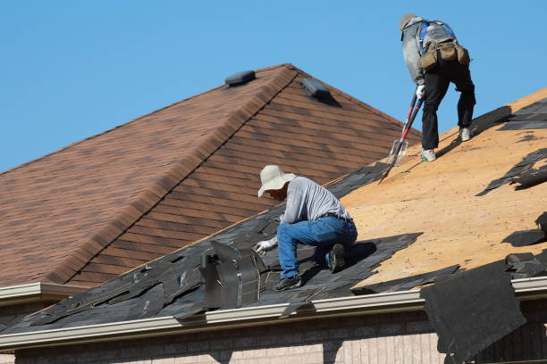 Best Sheet Metal Roofing  in Varnville, SC