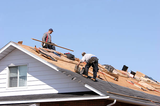 Best Roof Moss and Algae Removal  in Varnville, SC